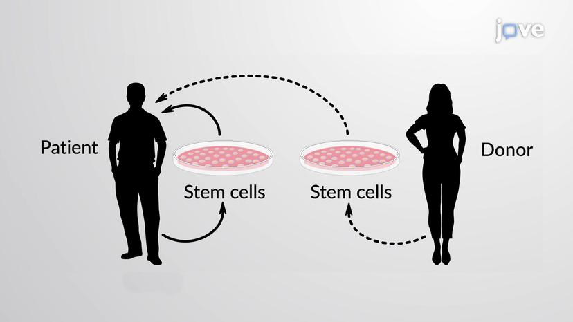 Stem Cell Therapy for Tissue Regeneration