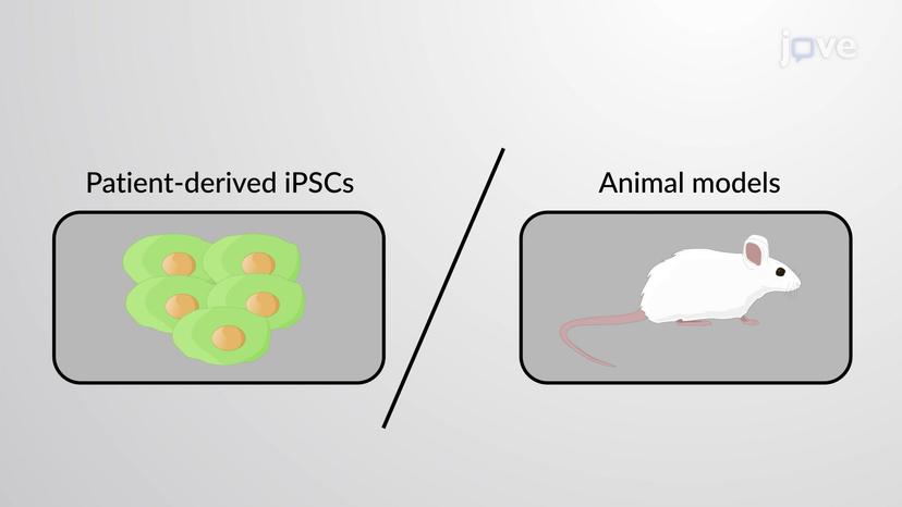 EPS and iPS Cells in Disease Research