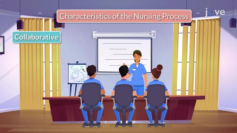 Fundamentals of  Nursing Process II