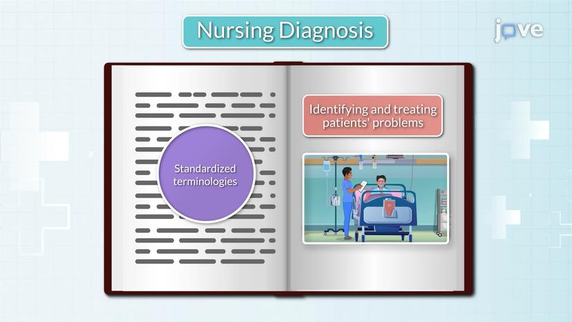 Formulating and Validating Nursing Diagnosis I