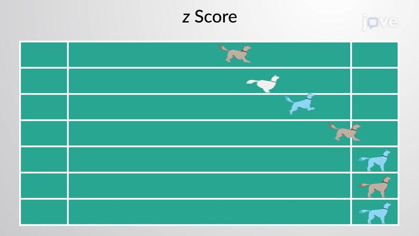 <em>z</em> Scores and Unusual Values