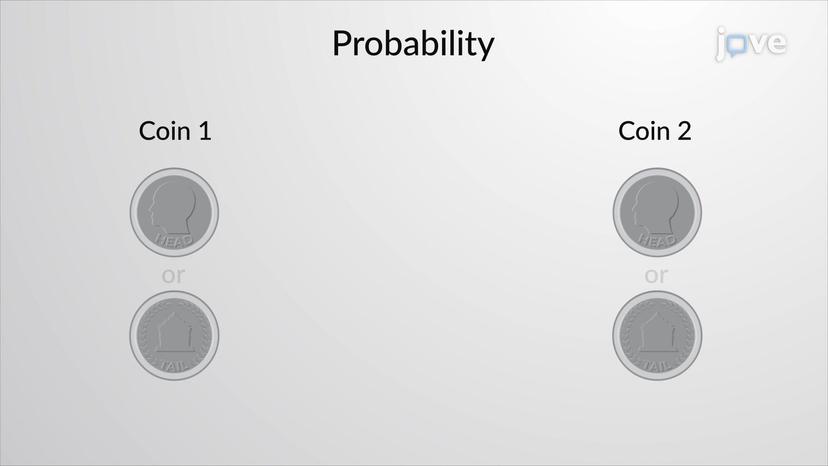 Probability in Statistics