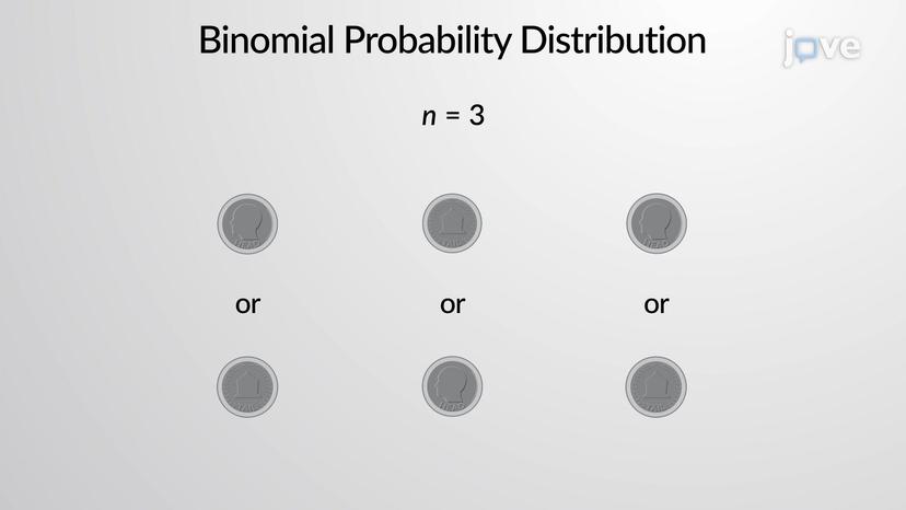 Binomial Probability Distribution