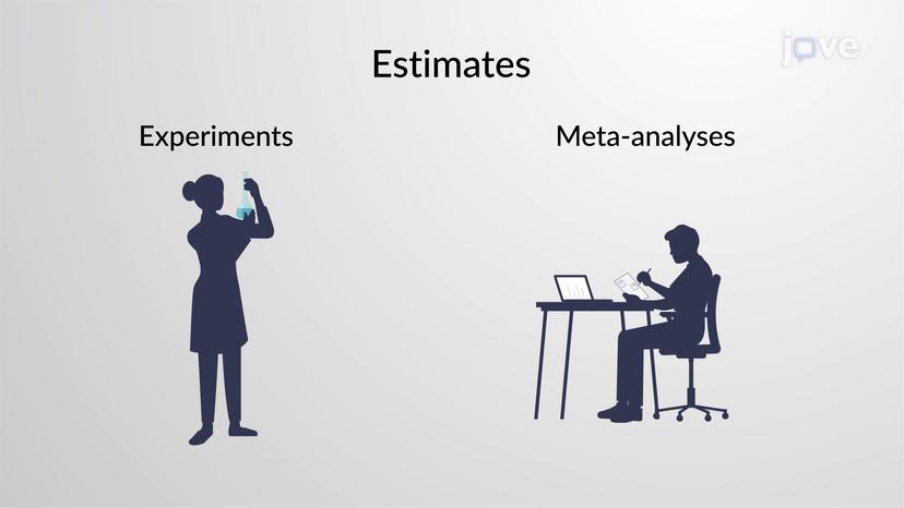 What are Estimates?