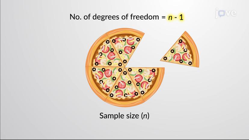 Degrees of Freedom