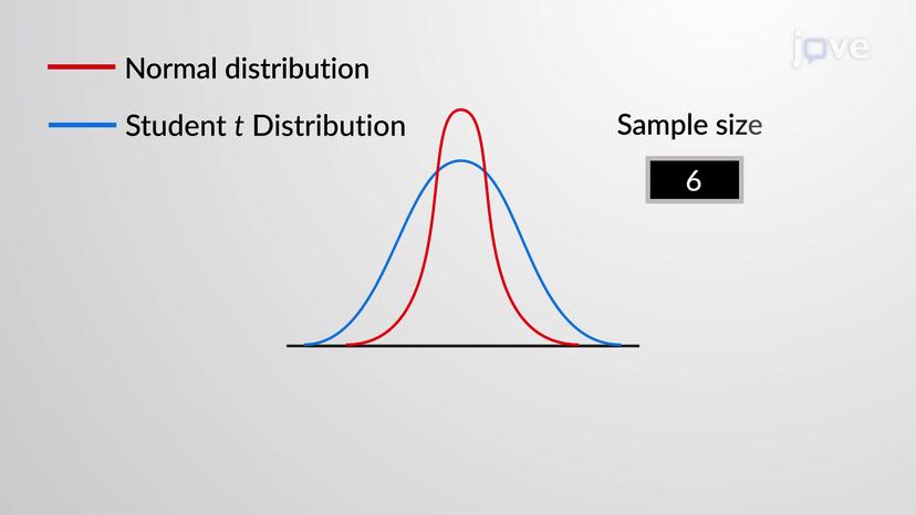 Student <em>t</em> Distribution