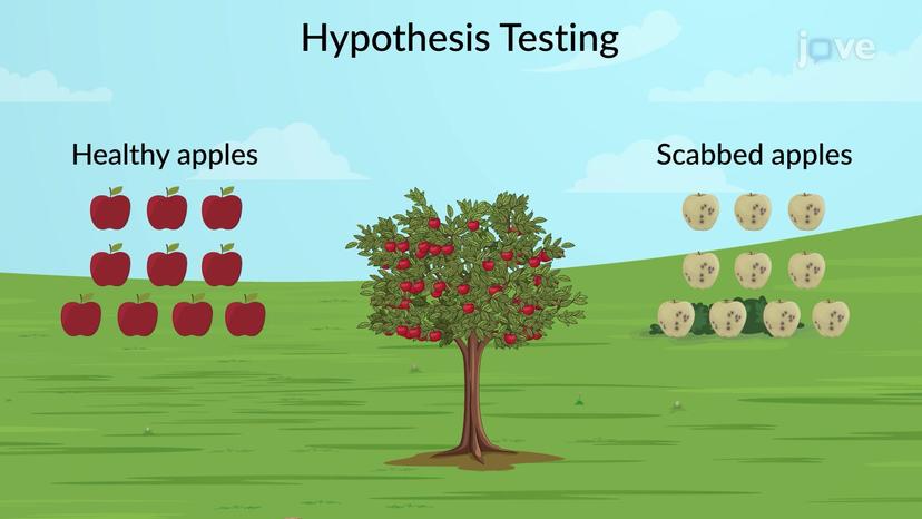 Null and Alternative Hypotheses