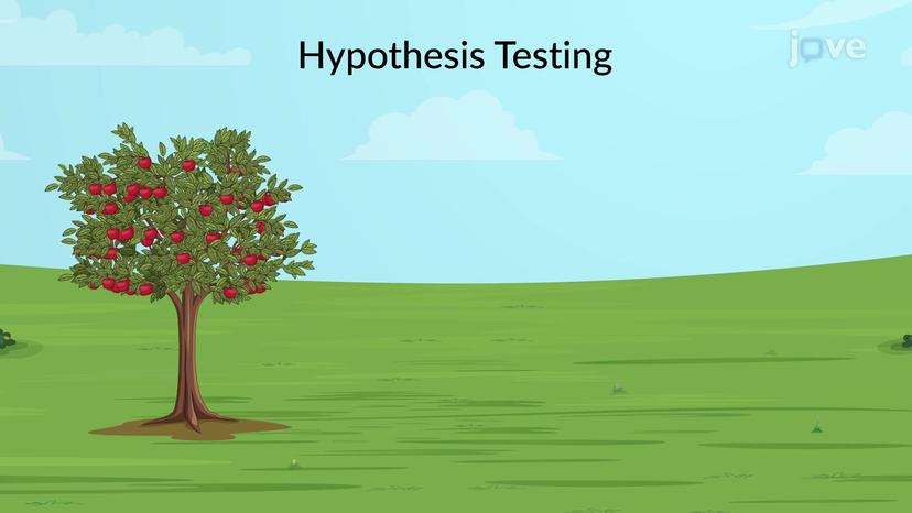 Types of Hypothesis Testing