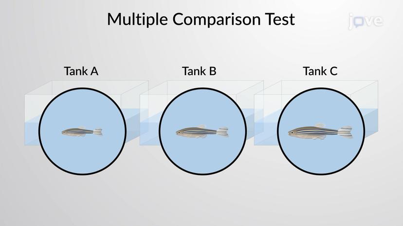 Multiple Comparison Tests