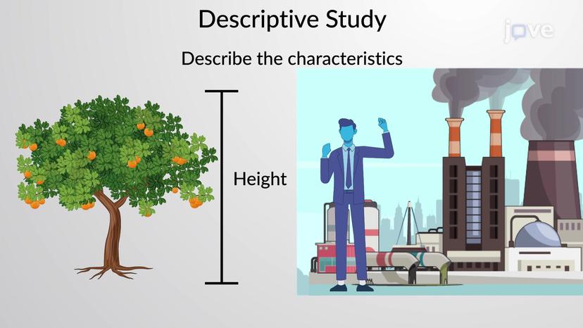 Study Design in Statistics