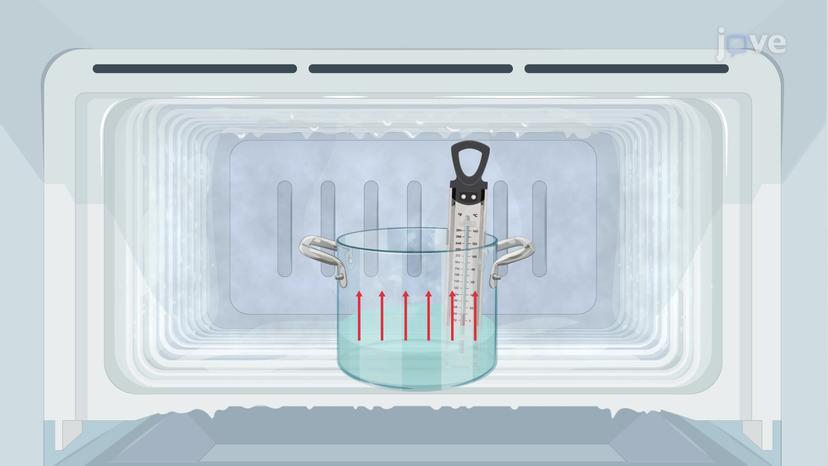 Temperature and Thermal Equilibrium