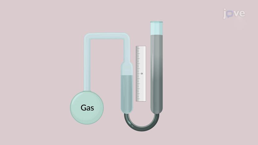 Gas Thermometers and the Kelvin Scale