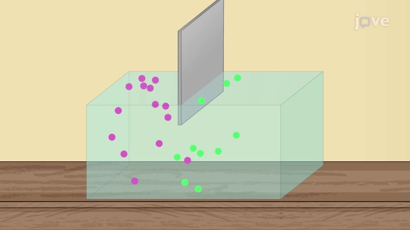 Reversible and Irreversible Processes