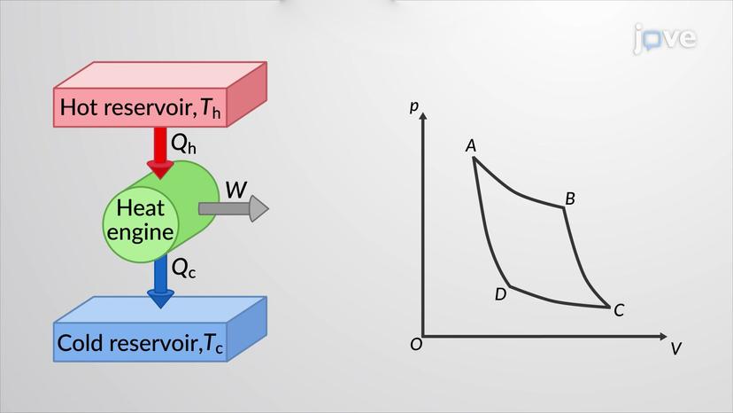 Efficiency of The Carnot Cycle