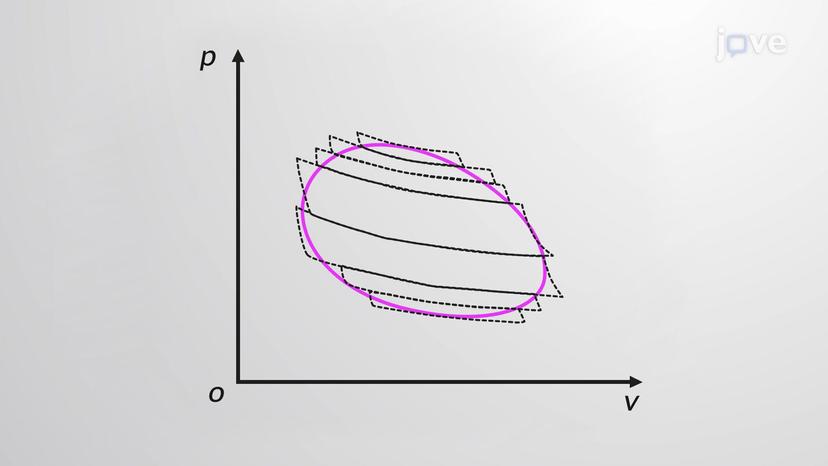 Entropy Change in Reversible Processes