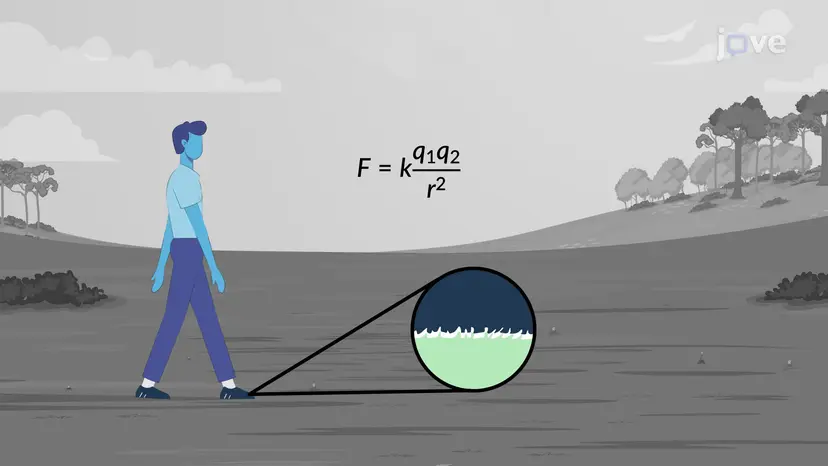 Coulomb's Law