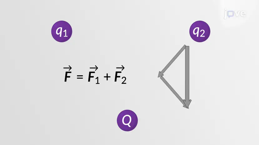 Coulomb's Law and The Principle of Superposition