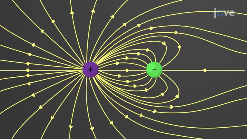 Electric Field Lines