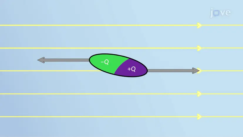 Electric Dipoles and Dipole Moment