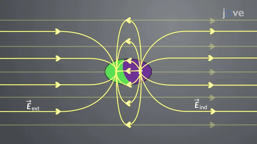 Induced Electric Dipoles