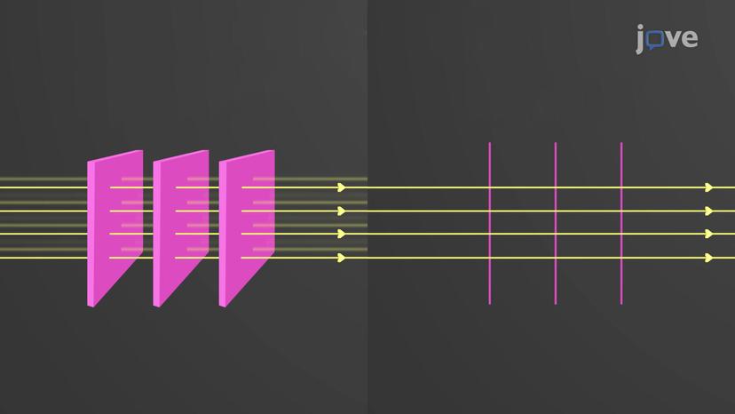 Equipotential Surfaces and Field Lines