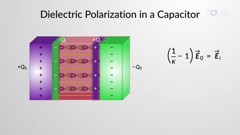 Dielectric Polarization in a Capacitor