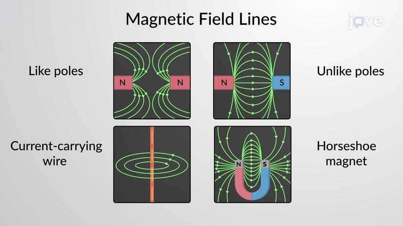 Magnetic Field Lines