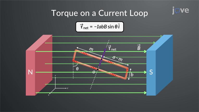 Torque On A Current Loop In A Magnetic Field