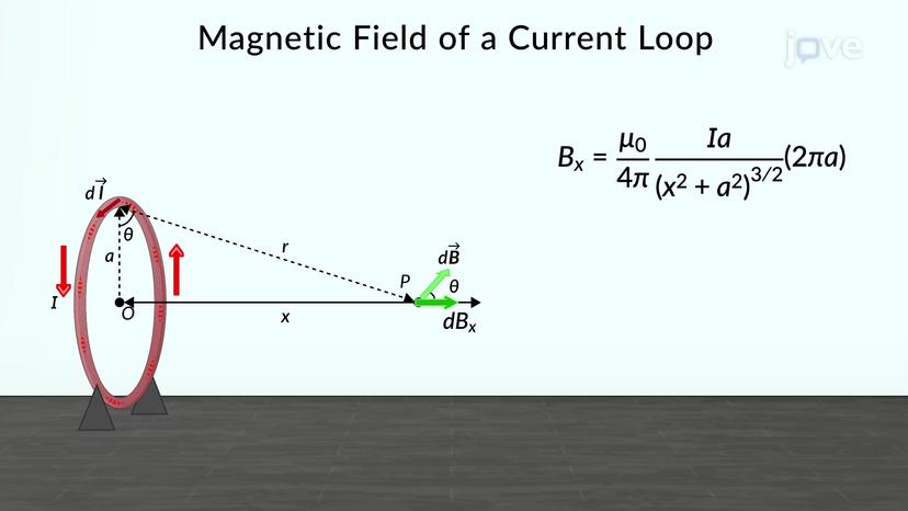 Magnetic Field Of A Current Loop