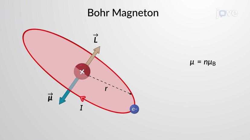 Magnetic Moment of an Electron