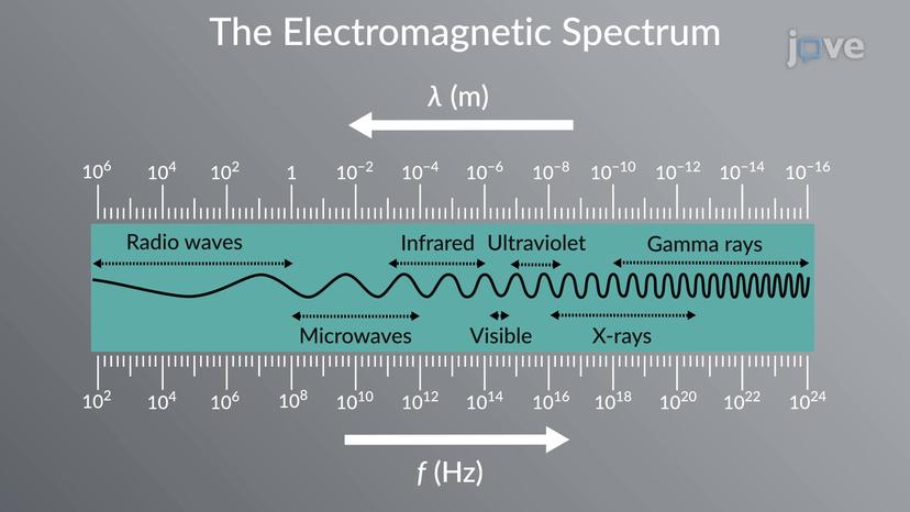 The Electromagnetic Spectrum