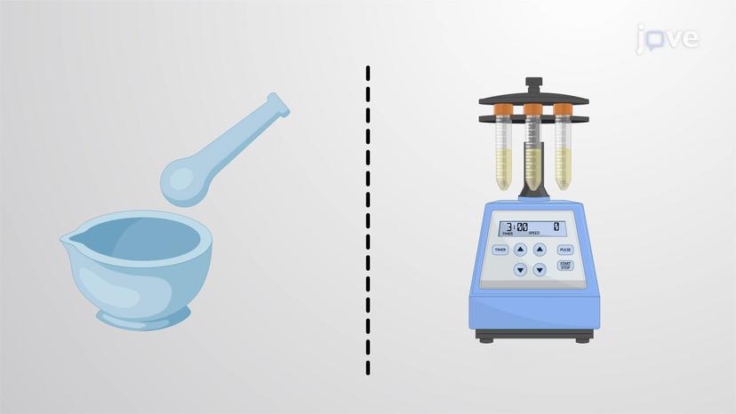 Tissue Homogenization and Cell Lysis