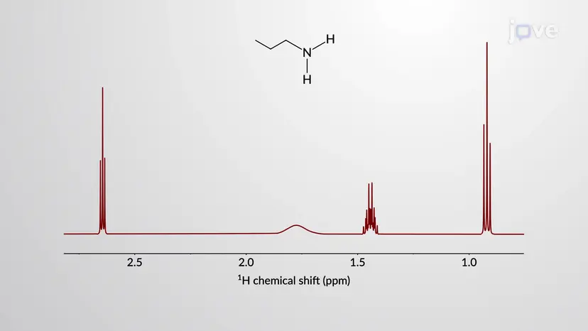 NMR Spektroskopie von Aminen