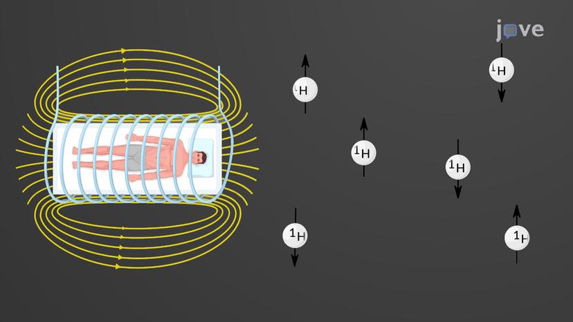 Magnetic Resonance Imaging