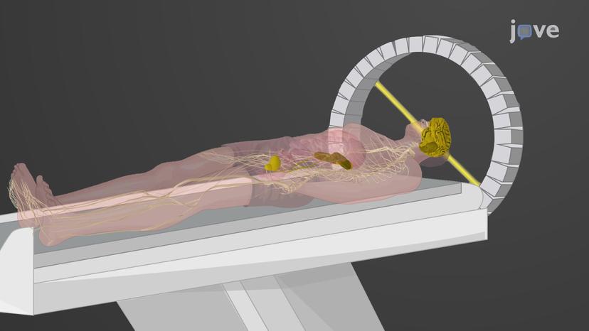 Positron Emission Tomography