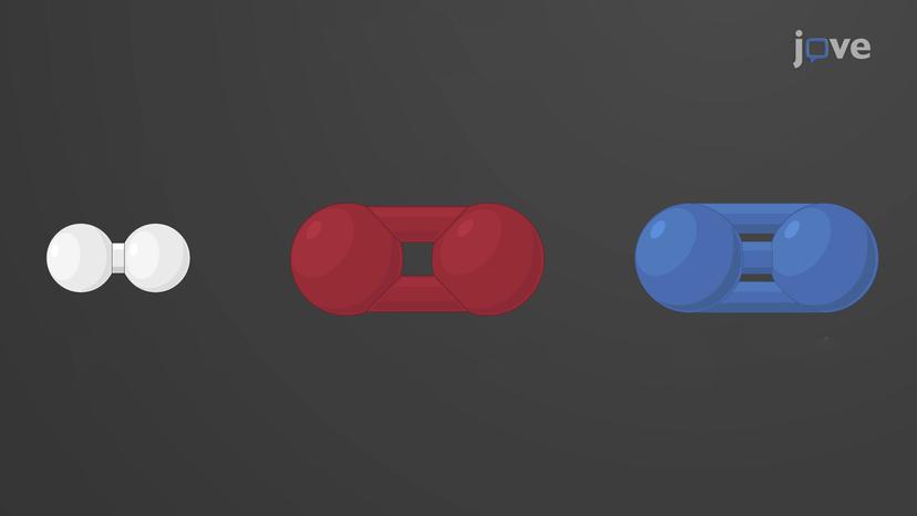 Introduction to Chemical Bonds