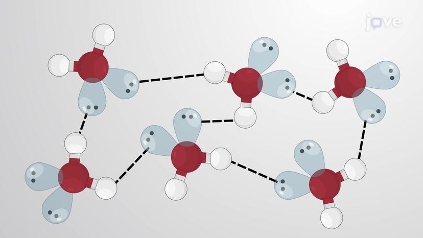 Hydrogen Bonds