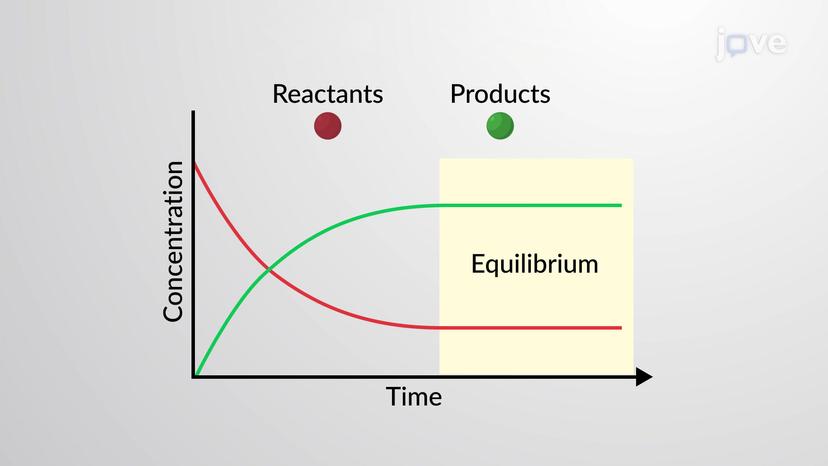 Introduction to Chemical Reactions