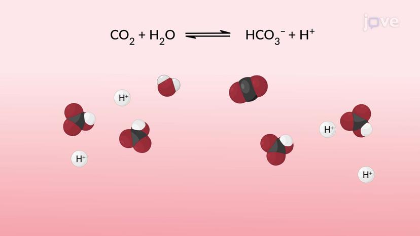 Types of Chemical Reactions: Exchange and Reversible