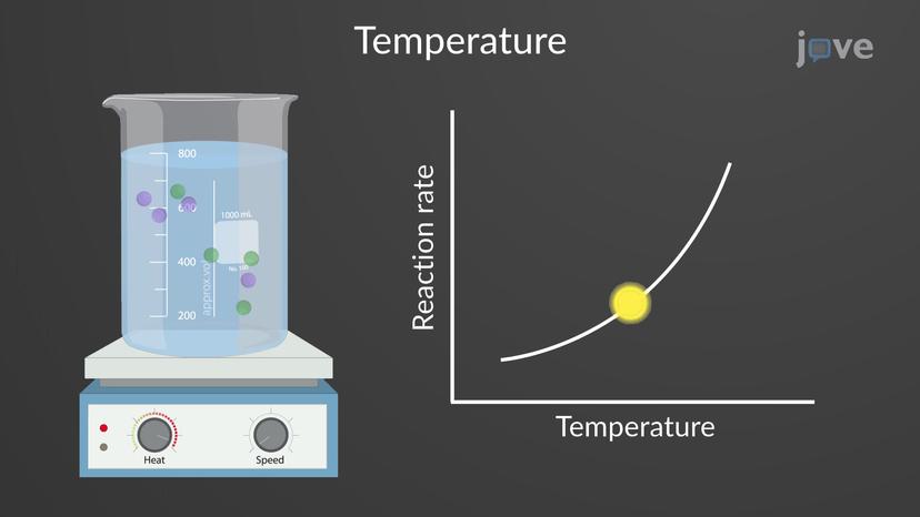 Factors Influencing the Rate of Chemical Reactions