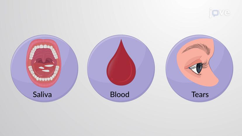 Role of Water in Human Biology