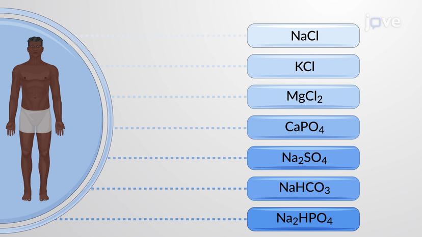 Introduction to Electrolytes