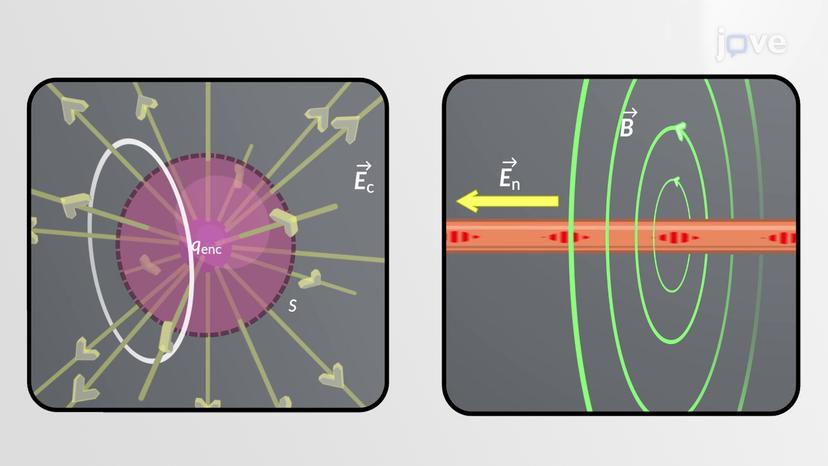 Electromagnetic Fields