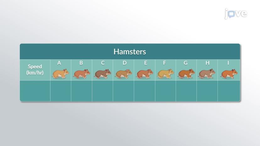 Sign Test for Matched Pairs