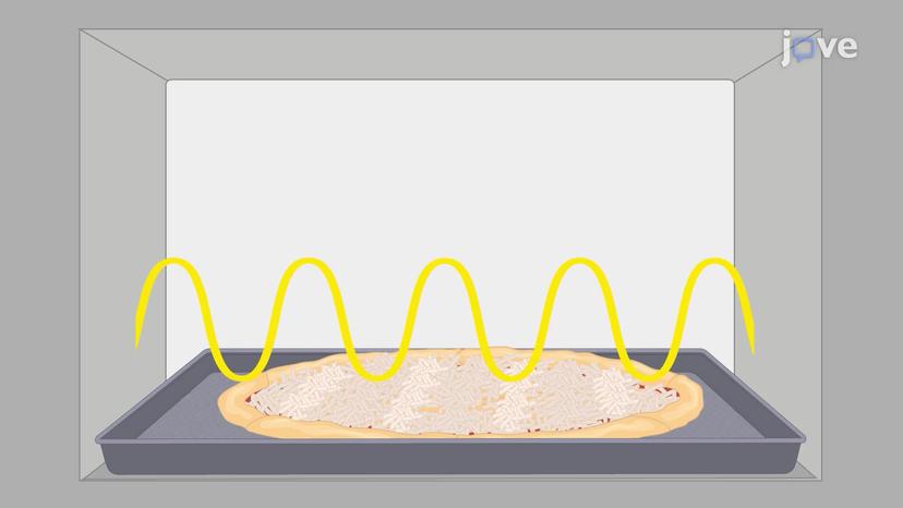 Standing Waves in a Cavity