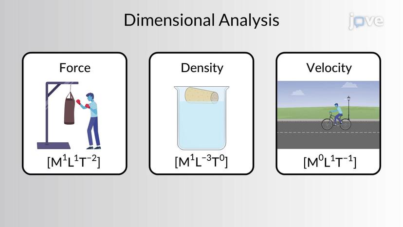 Dimensional Analysis