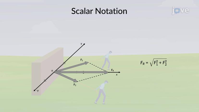 Scalar Notation