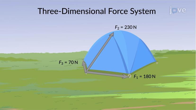 Three-Dimensional Force System:Problem Solving