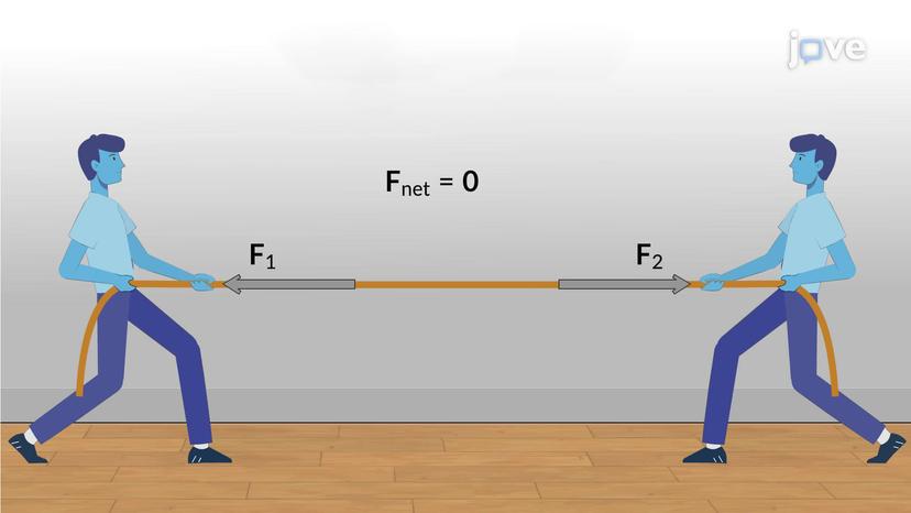 Categories of Equilibrium