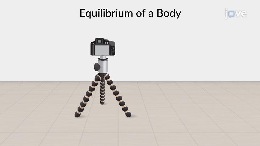 Equations of Equilibrium in Three Dimensions